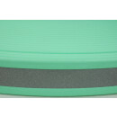 B1935ref Biothane Caribbean Green 19 mm reflektierend GN52K