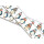 Biothane mit UV Druck 25mm "Pinguin"