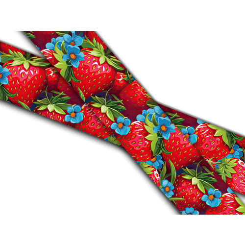 Biothane mit UV Druck 38mm "Erdbeeren"