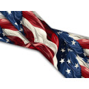 Biothane mit UV Druck 16mm "Old Glory" 150 cm...