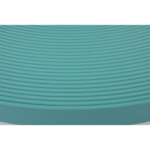 B2553 Biothane Dusty Turquise TU521 25 mm