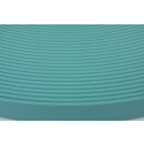 B2553 Biothane Dusty Turquise TU521 25 mm