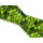 Biothane mit UV Druck 38mm "Green Leaves"