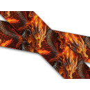 Biothane mit UV Druck 25mm "Fire Dragon"