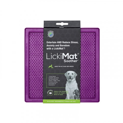 Licki Mat Soother Lila