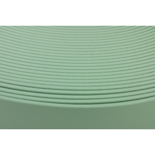 Kurze Stücke B1944 Biothane Mint Green 19mm 21cm