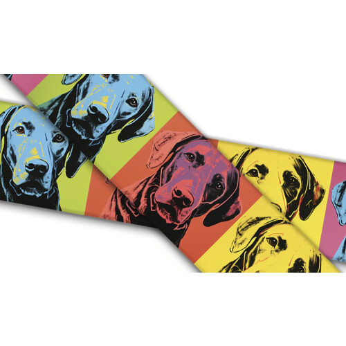 Biothane mit UV Druck 25mm "Labrador Retriever"