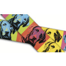 Biothane mit UV Druck 25mm "Labrador Retriever"