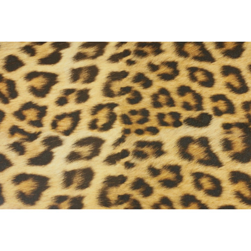 Siser EasyPatterns EPWLEO Wild Leopard 20 x 30 cm