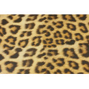 Siser EasyPatterns EPWLEO Wild Leopard 20 x 30 cm