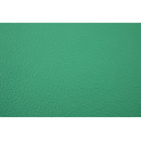 NL950Z21 Nappaleder Zuschnitt 9x50 cm Grün