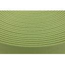 Kurze Stücke B1950 Biothane Guacamole 19mm 27cm