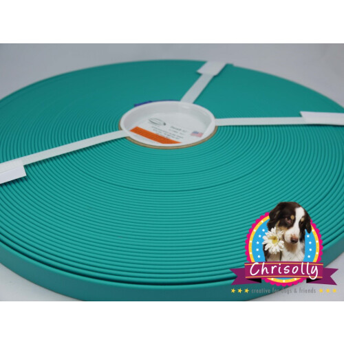 Kurze Stücke B1610 Biothane Türkis 16mm 48cm