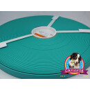 Kurze Stücke B1610 Biothane Türkis 16mm 49cm