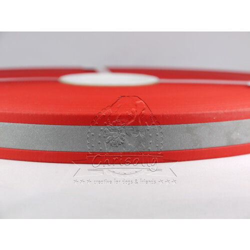 B2504ref Biothane Rot 25mm reflektierend RD522