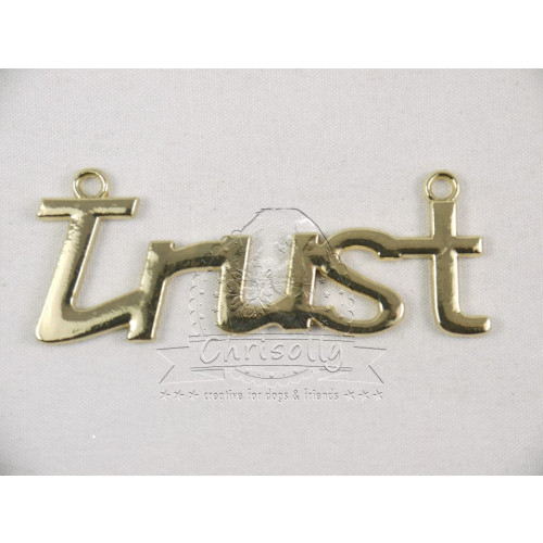 Verbinder Trust Goldfarbig
