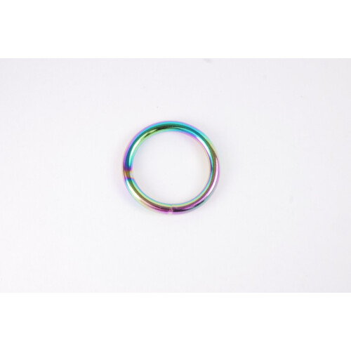O - Ring Regenbogen Standard 20mm