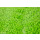 Miyuki Delica Perlen 11/0 Duracoat opaque dyed kiwi green DB-2121