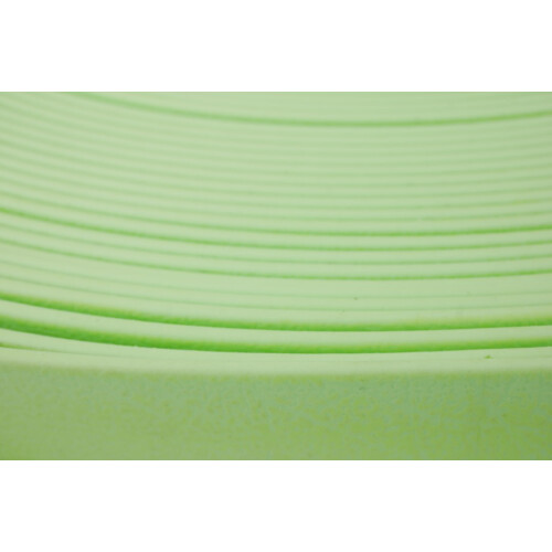 B1338 Biothane Pastell Green 13 mm GN529