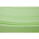B1338 Biothane Pastell Green 13 mm GN529