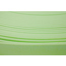 B1638 Biothane Pastell Green 16 mm