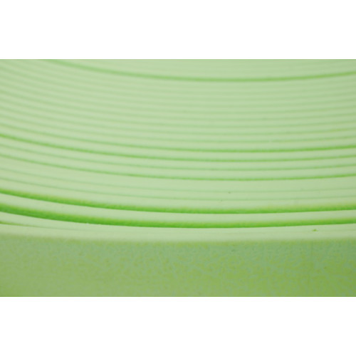 B2538 Biothane Pastell Green 25 mm