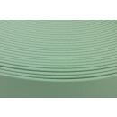 Kurze Stücke B2544 Biothane Mint Green 25mm 43cm